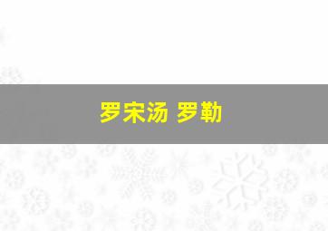 罗宋汤 罗勒